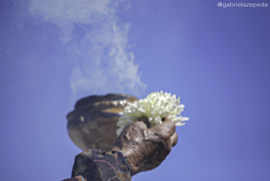 20101206 DSC_4844 409